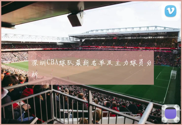 深圳CBA球队最新名单及主力球员分析