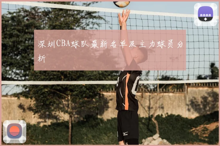 深圳CBA球队最新名单及主力球员分析