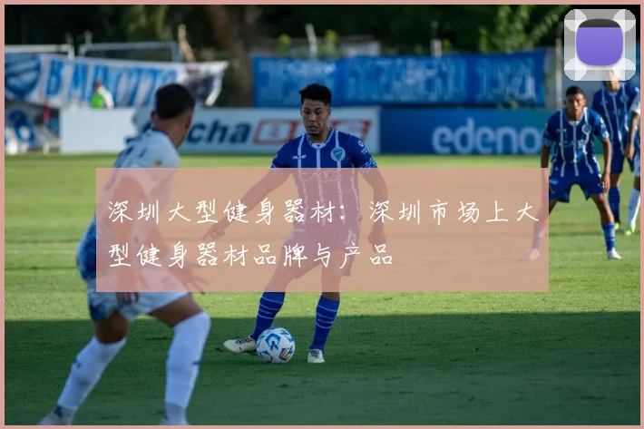 深圳大型健身器材：深圳市场上大型健身器材品牌与产品
